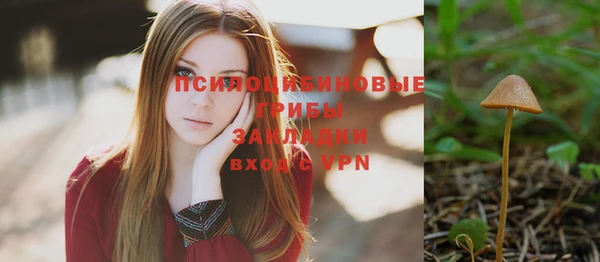 бошки Каменск-Шахтинский